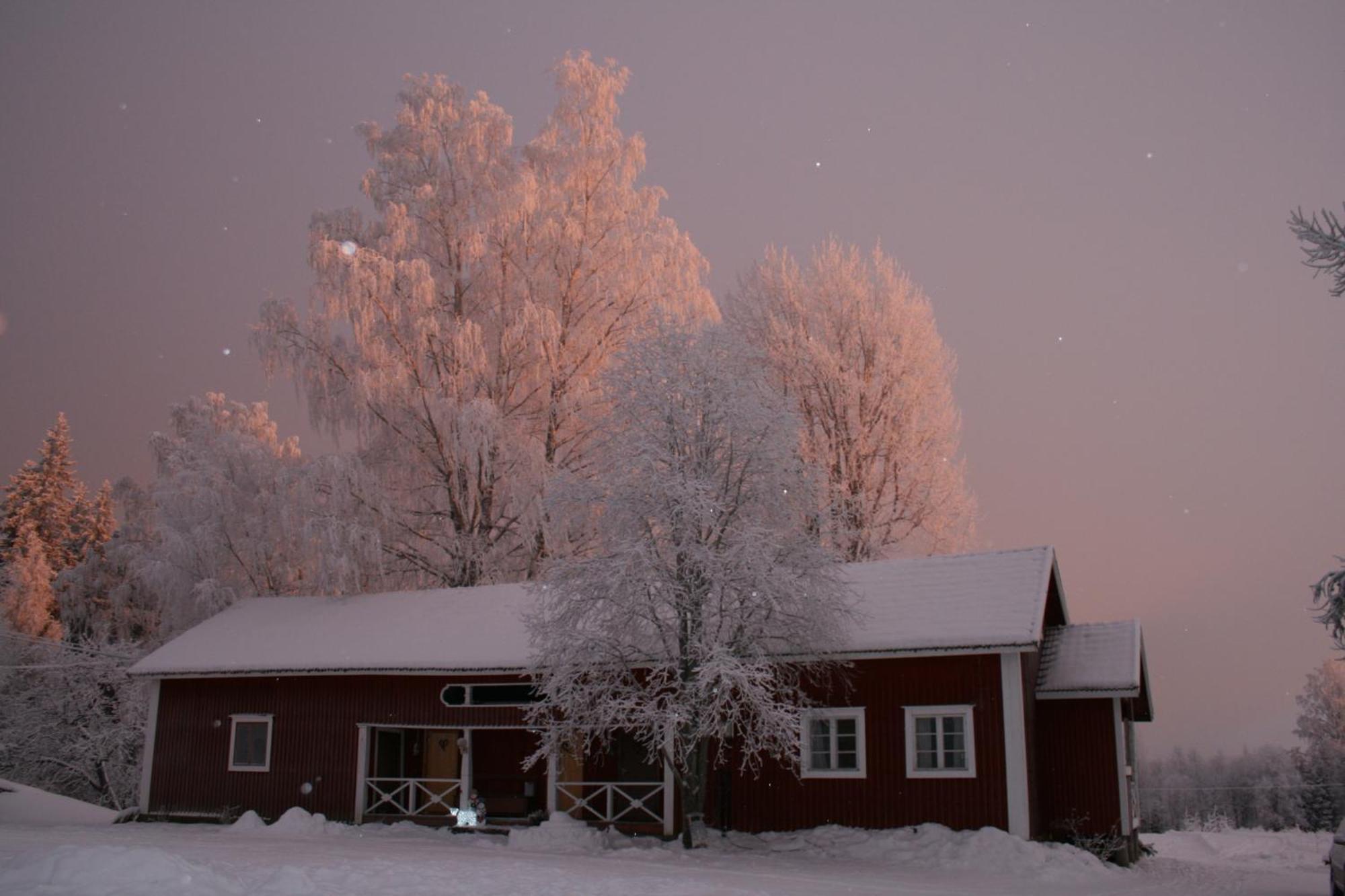 Valkeisen Loma Villa Ähtäri Buitenkant foto