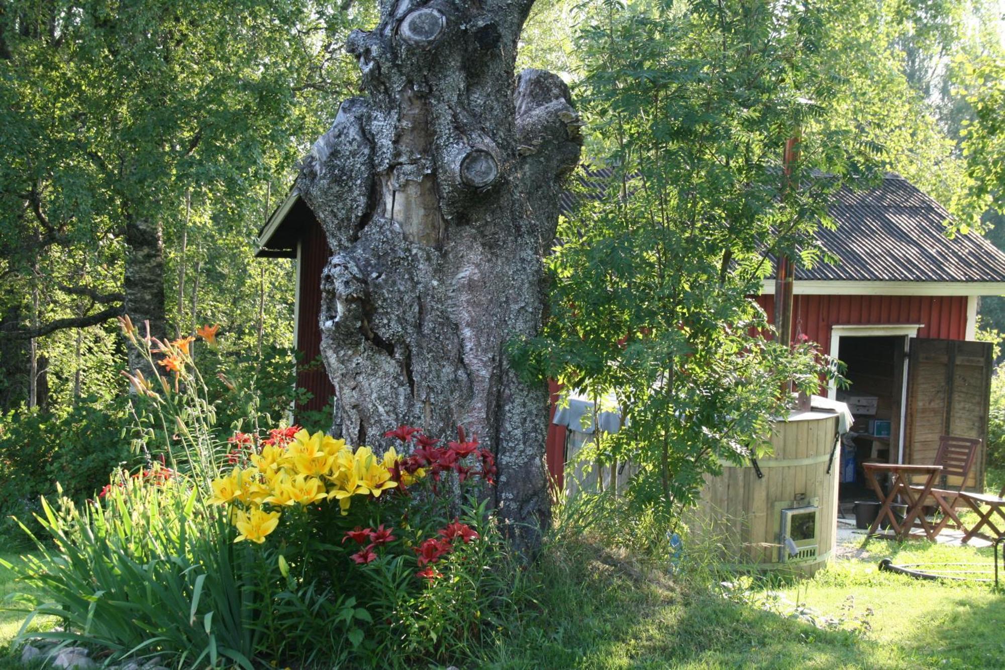 Valkeisen Loma Villa Ähtäri Buitenkant foto