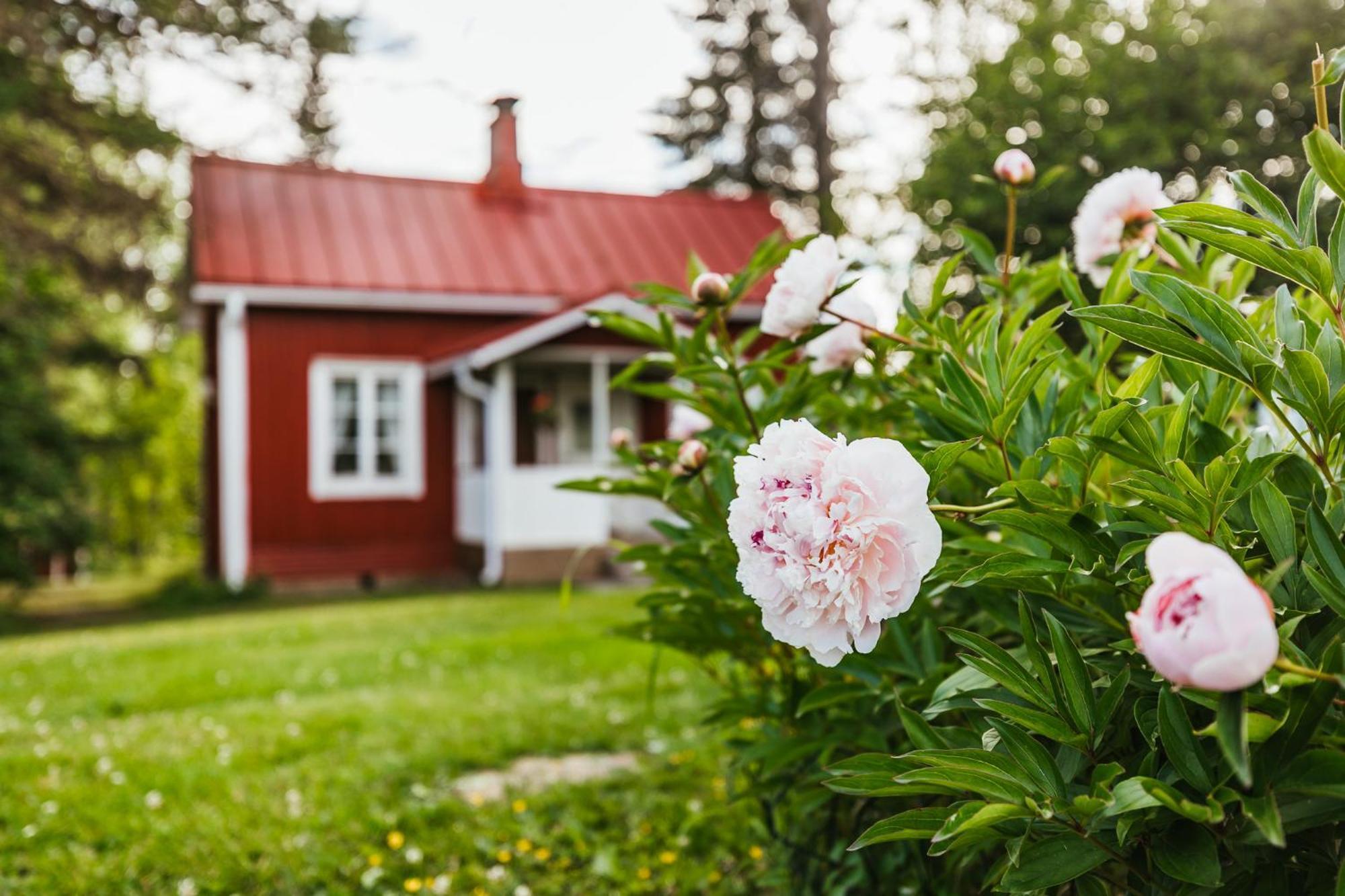 Valkeisen Loma Villa Ähtäri Buitenkant foto